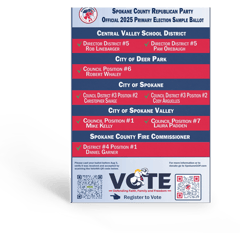 ballot-3d